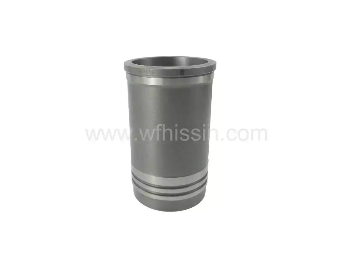 Cylinder liner